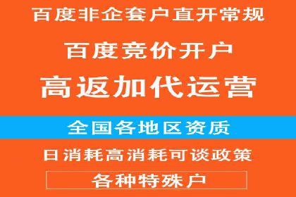 案例研究：关键词竞价排名实战技巧