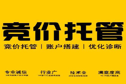 搜索引擎营销（SEM）的竞品分析方法——以某行业多案例对比分析